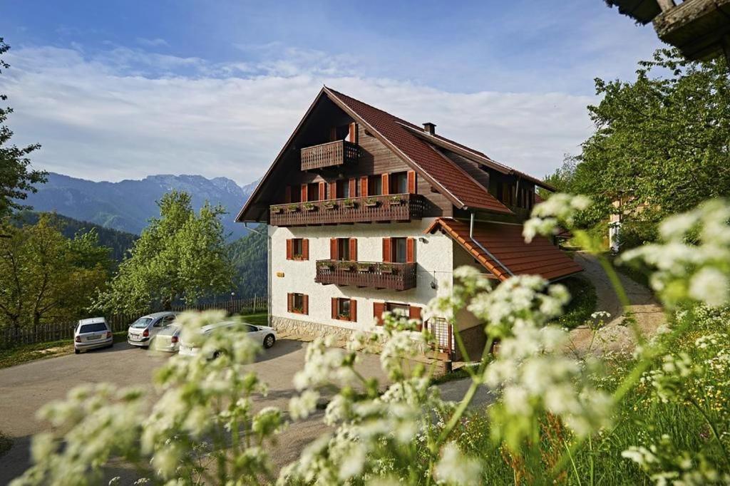 Farm Stay "Alpine Dreams" Solčava Exteriér fotografie