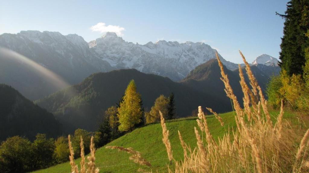 Farm Stay "Alpine Dreams" Solčava Exteriér fotografie