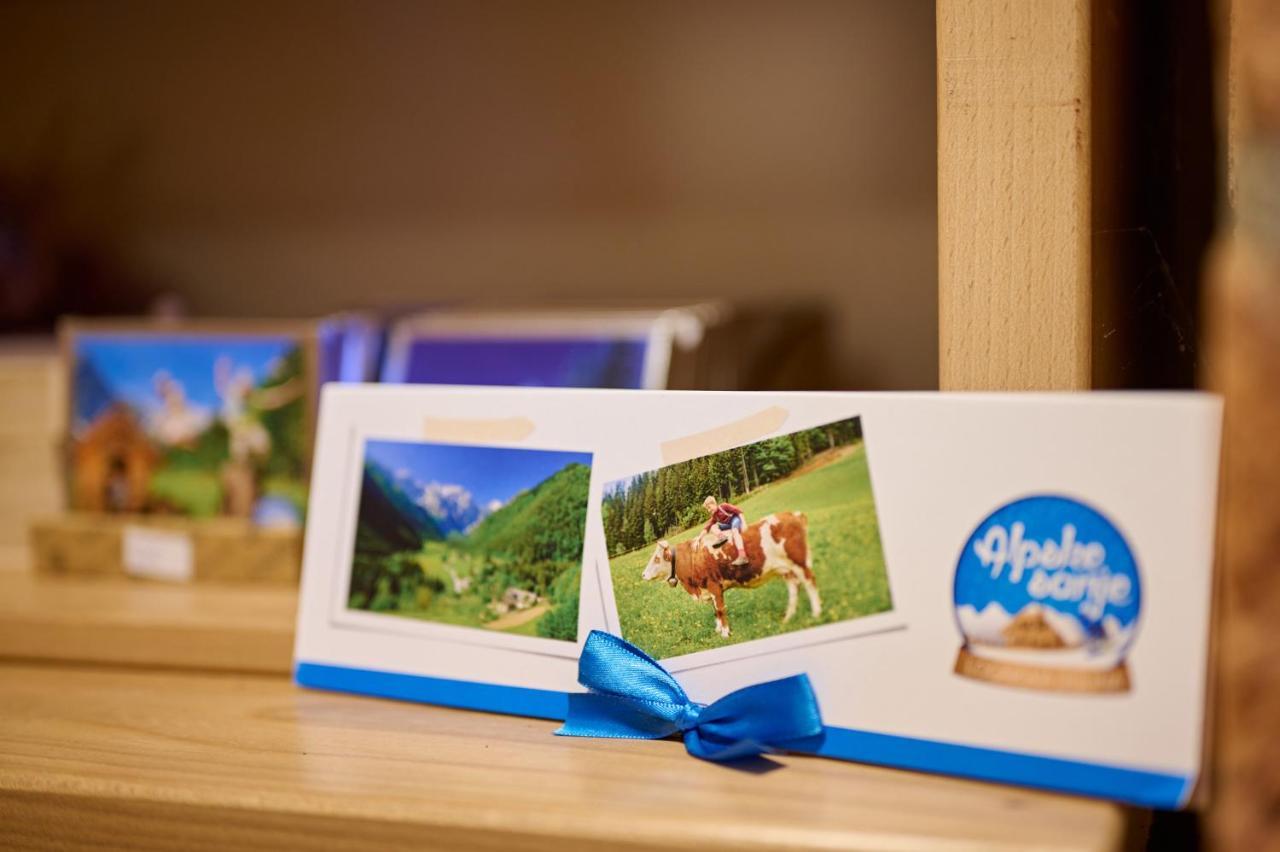 Farm Stay "Alpine Dreams" Solčava Exteriér fotografie