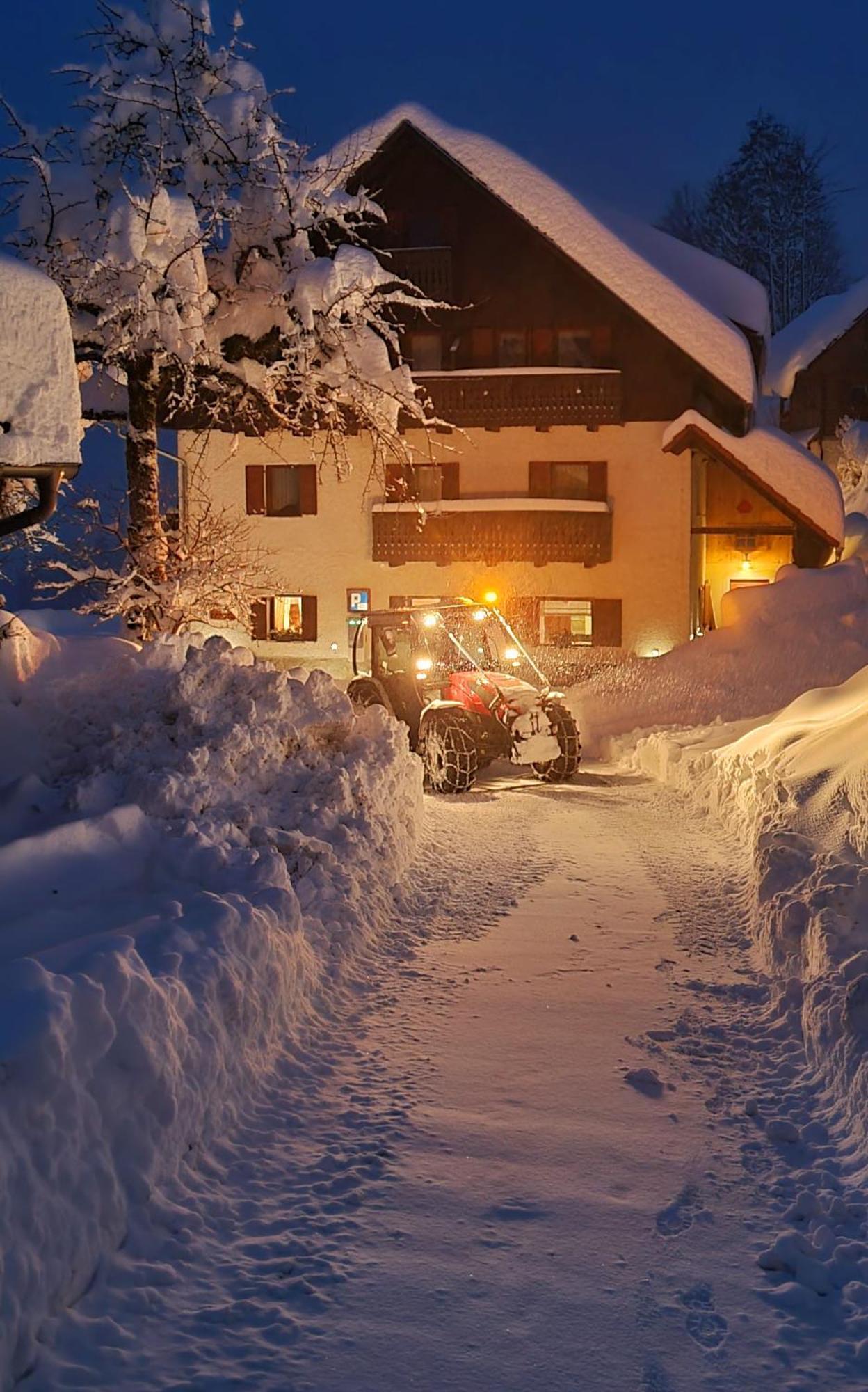 Farm Stay "Alpine Dreams" Solčava Exteriér fotografie