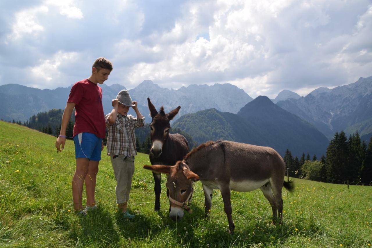 Farm Stay "Alpine Dreams" Solčava Exteriér fotografie