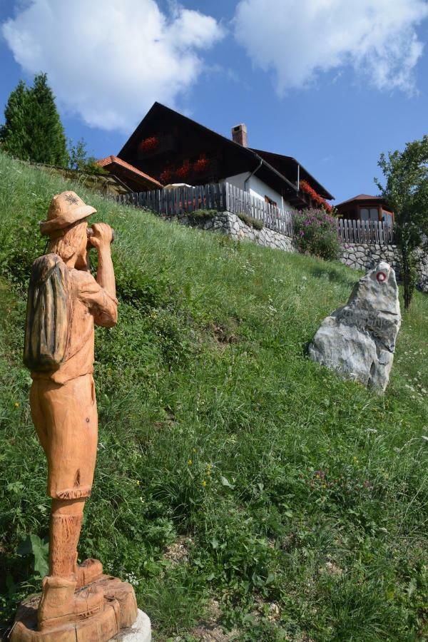 Farm Stay "Alpine Dreams" Solčava Exteriér fotografie